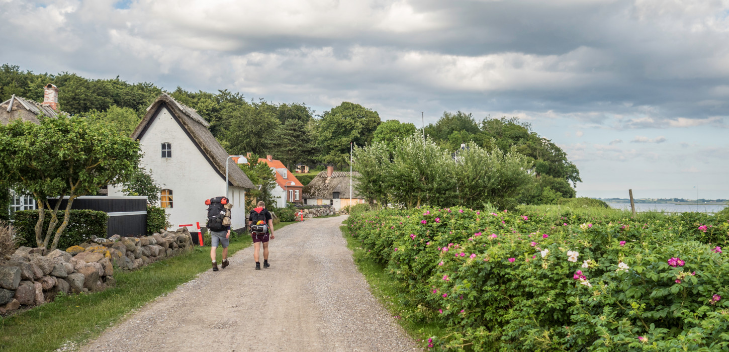 Vandrere på øhavsstien ved Dyreborg | Vandreferie | Øhavsstien