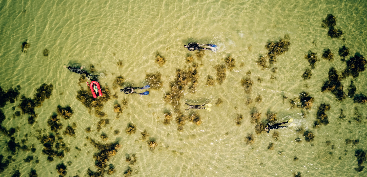 Snorkelture i Det Sydfynske Øhav | Øhavsstien