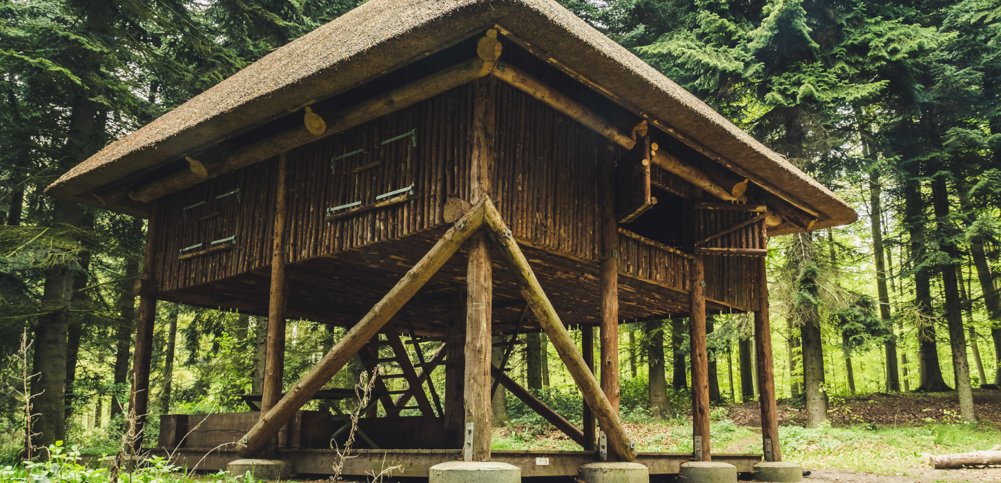 Shelter ved Dyreborg på Sydfyn | Øhavssstien