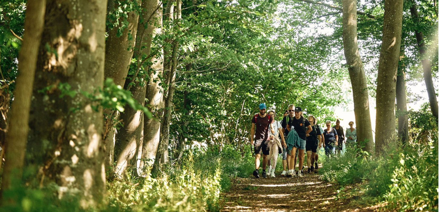 Øhavsstien | Vandring på Sydfyn