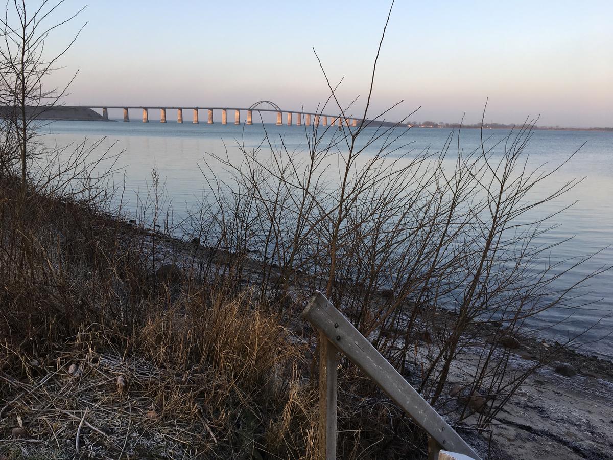 Peløkke på Langeland en del af Øhavsstien