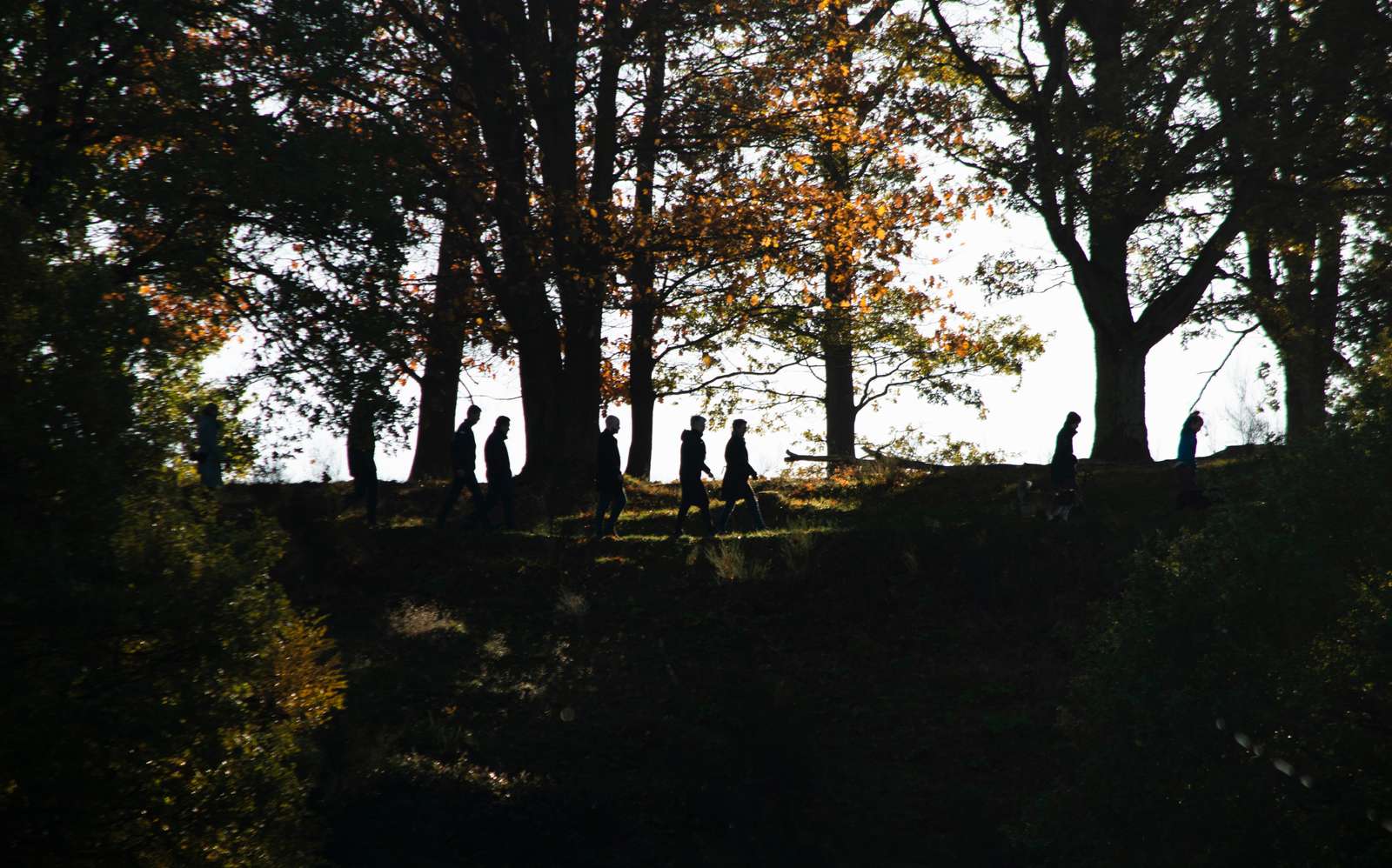 Vandrere i Svanninge Bakker