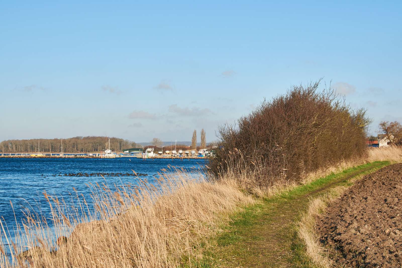 Øhavsstien ved Fjællebroen
