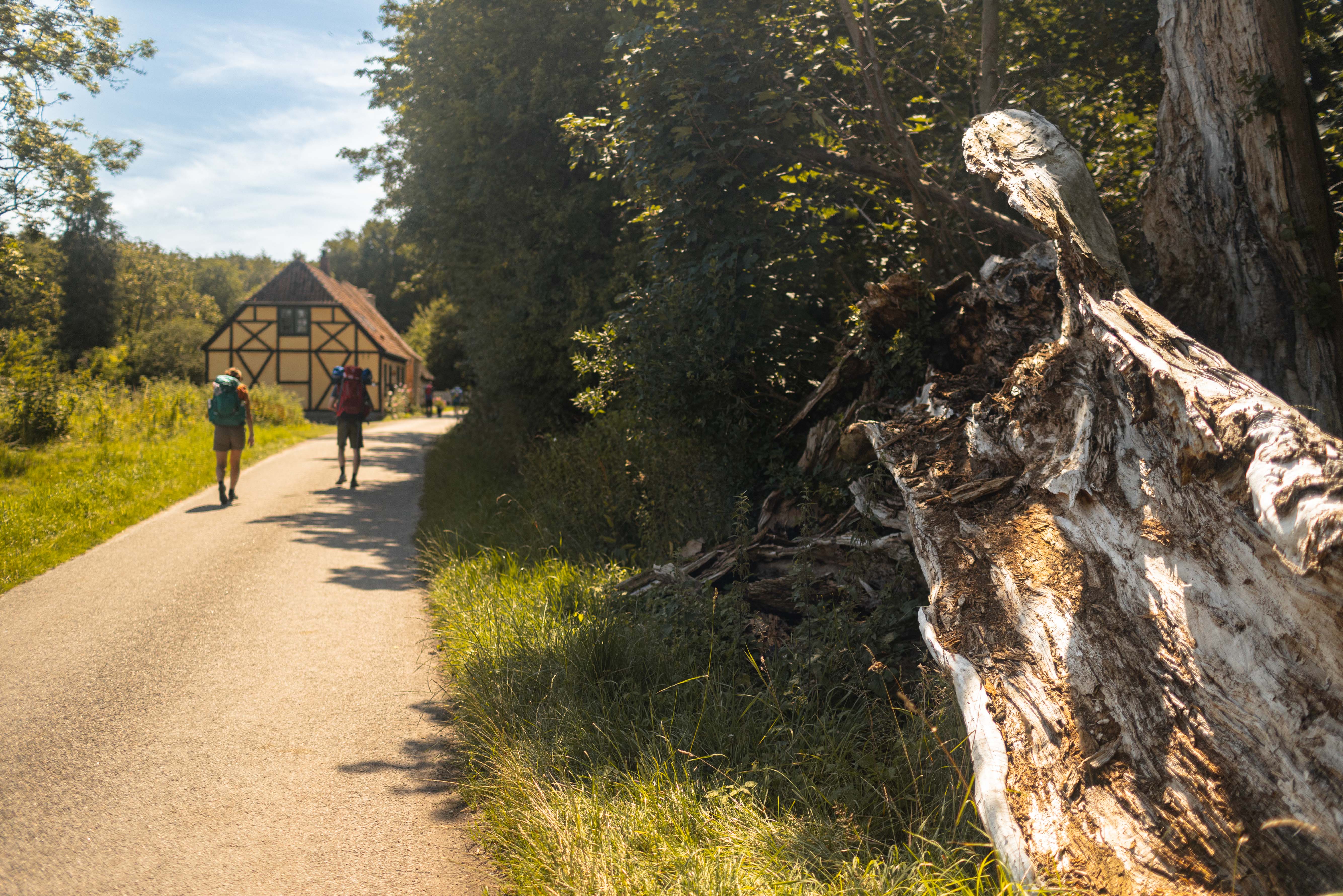 To mennesker vandrer ved Svendborg